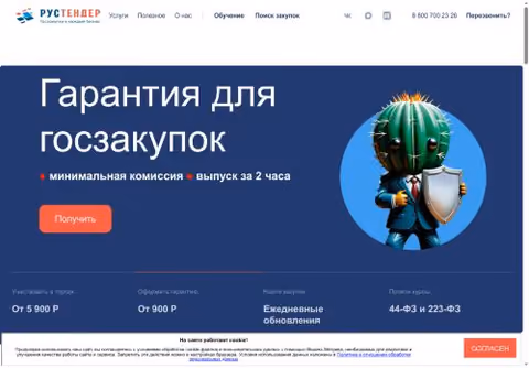 Главная страница tender-rus.ru