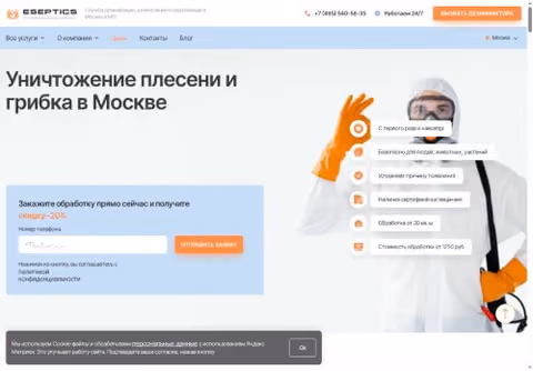 Главная страница eseptics.ru