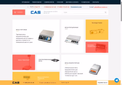 Главная страница cas-russia.ru