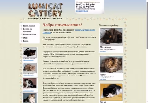 Главная страница lumicat.ru