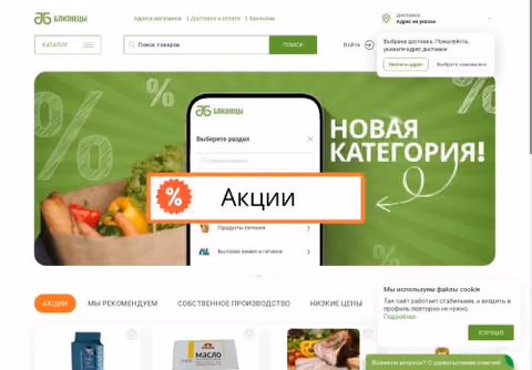 Главная страница bliznetsy24.ru
