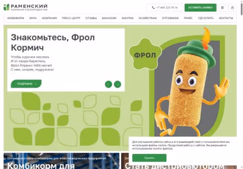 Главная страница ramkhp.ru