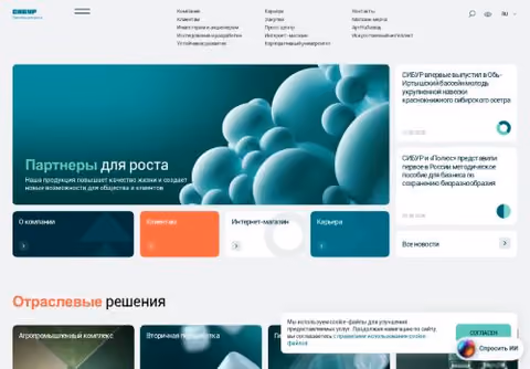 Главная страница sibur.ru