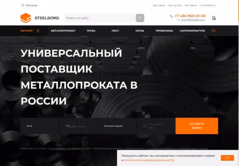 Главная страница steelborg.ru