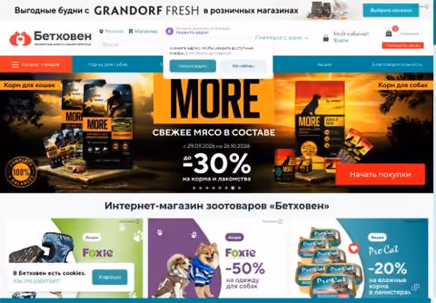Главная страница bethowen.ru
